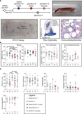 Perturbations of mesenchymal stromal cells after allogeneic hematopoietic cell transplantation predispose for bone marrow graft-versus-host-disease